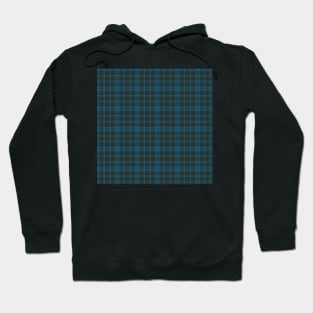 Pretty Blue and Black Plaid.  Good Christmas Color Hoodie